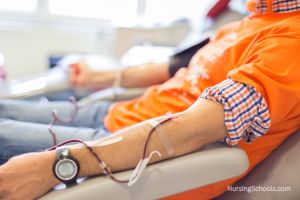 Blood Management Nurse Career Guide