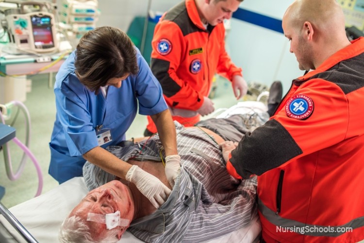 Burn Care Nurse performs an initial assessment on a patient to determine the severity of the burns.