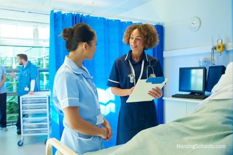 Charge Nurse mentoring a newer nurse at the bedside while reviewing care standards, patient safety, and hands-on job duties.