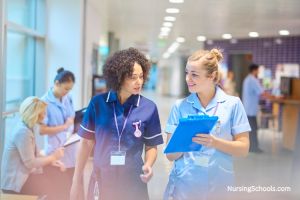 Charge Nurse Career Guide