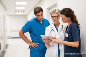 Clinical Nurse Leader Career Guide