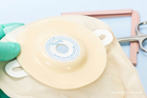 Enterostomy Nurse Career Guide