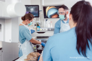 Gastroenterology Nurse Career Guide