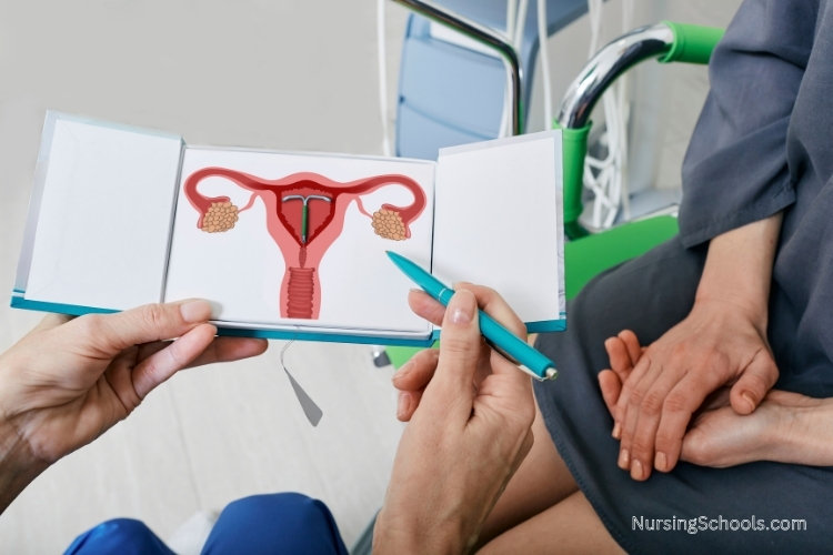 Gynecology Nurse explains IUD contraceptive with a female patient.