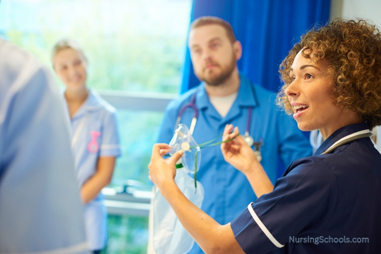 Infection Control Nurse teaching disease prevention to nurses.