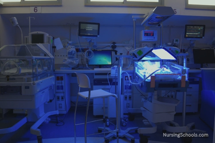 Hospital ward for premature born infants where Neonatal Care Nurses work.