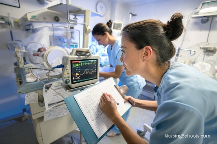Neonatal Nurse recording the vital signs of a premature infant in the NICU.
