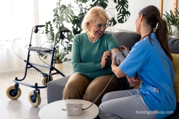 Nurse Entrepreneur provides in-home care services while promoting and growing their business.