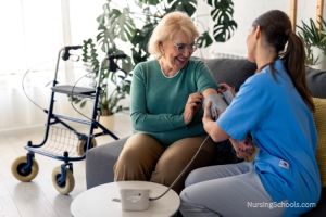 Nurse Entrepreneur Career Guide