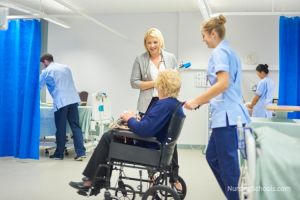 Nurse Manager Career Guide