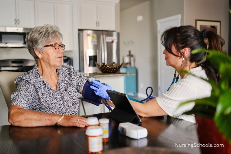 Public Health Nurse conducts an in-home assessment for an elderly patient.