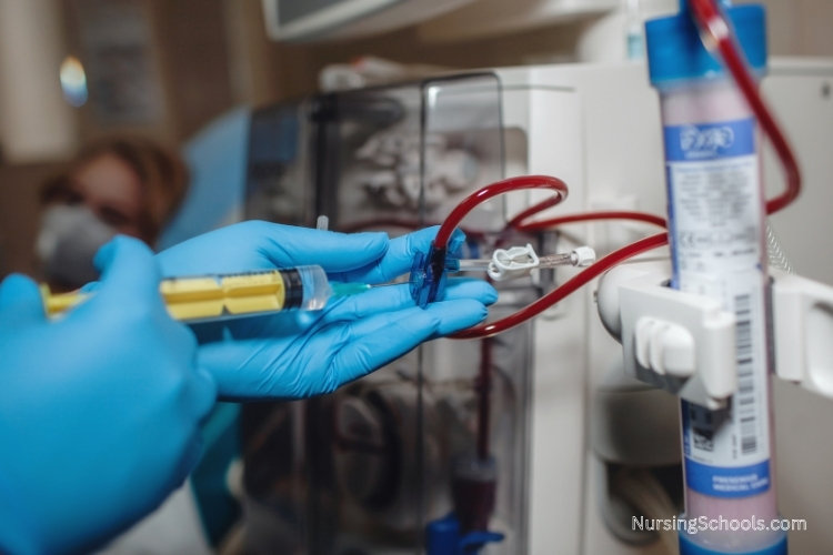 Renal Dialysis Nurse operates the dialysis machine.
