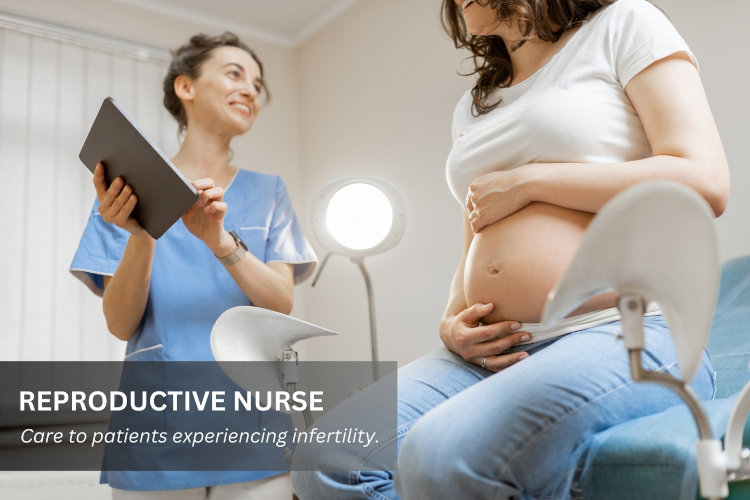 Reproductive Nurse cares for a pregnant patient at an OB/GY office.