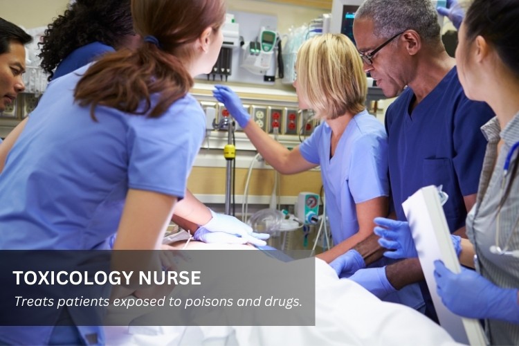 Toxicology Nurse treats a patient exposed to poisons and drugs.
