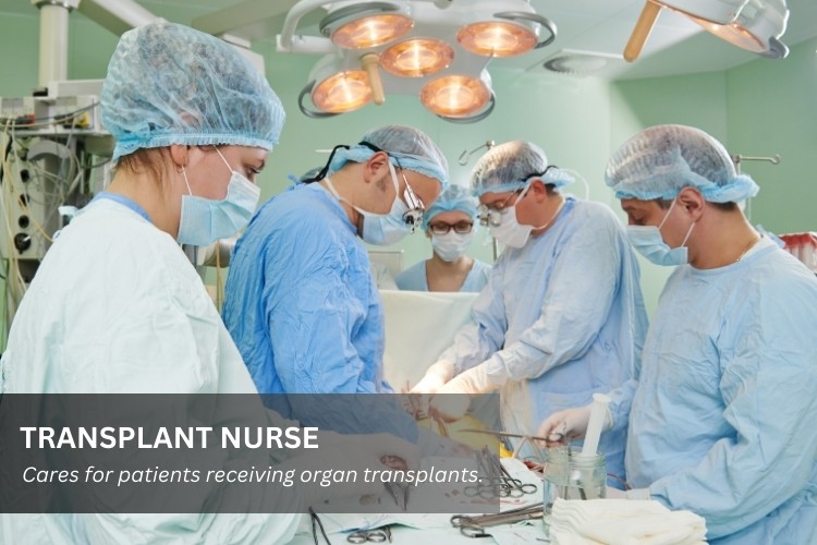 Transplant Nurse assists during organ transplantation.