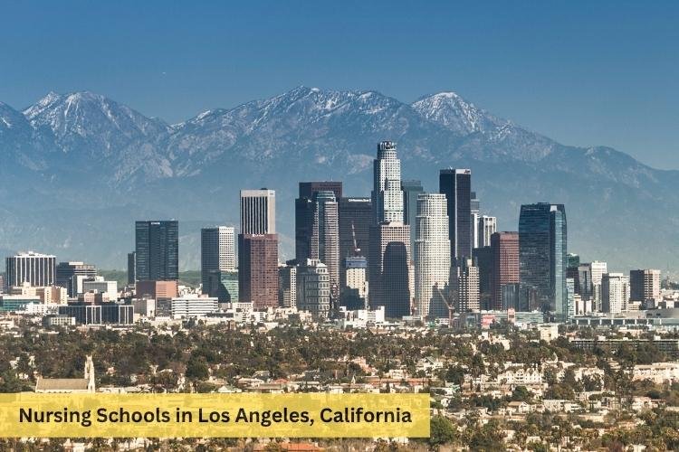 Nursing Schools in Los Angeles California