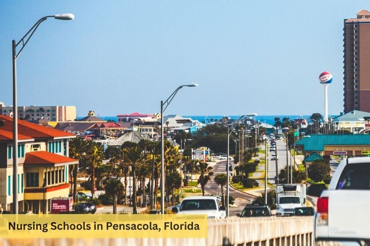 Nursing Schools In Pensacola FL fly-private-to-pensacola-international-airport