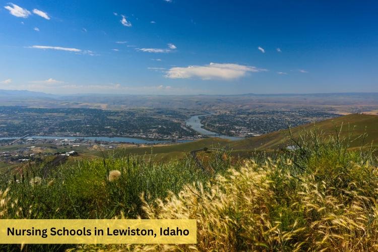 Nursing Schools in Lewiston Idaho