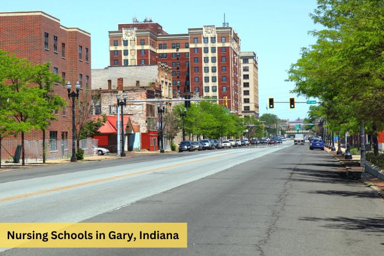 Nursing Schools In Gary, IN