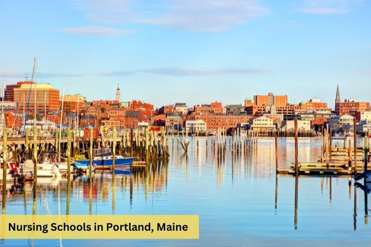 Nursing Schools in Portland Maine