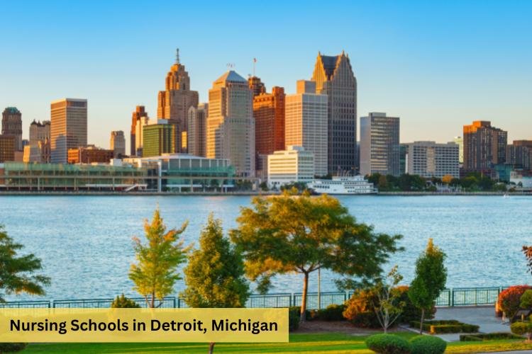 Nursing Schools in Detroit Michigan