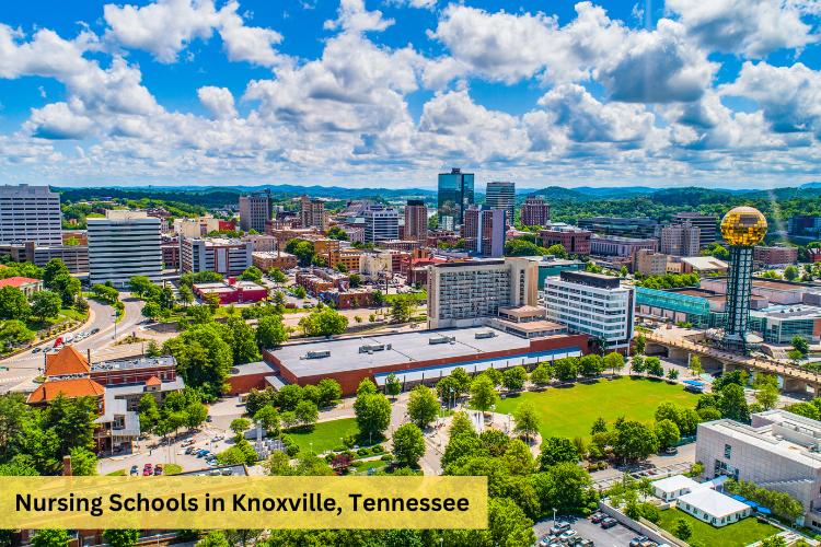 Nursing Schools In Knoxville, TN