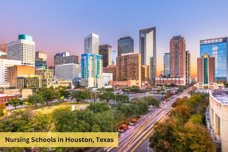 Nursing schools in houston tx