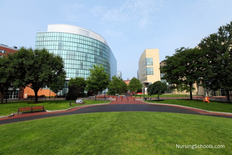 Find nursing schools by name.